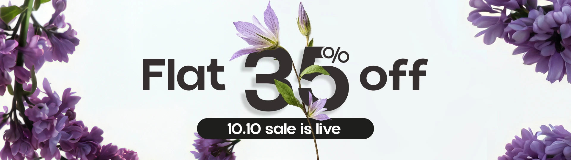 collection-banner-image
